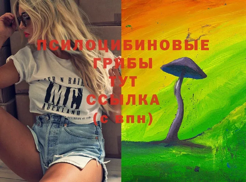 Галлюциногенные грибы Cubensis  Вязьма 